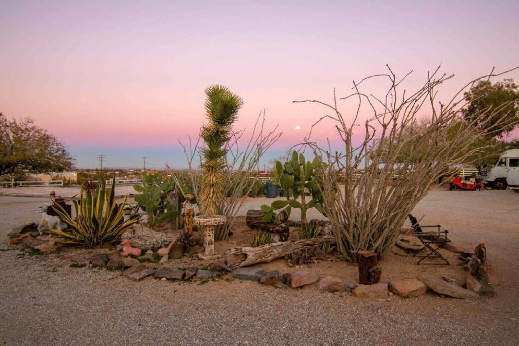 Joshua Tree Ranch House Motel - Downtown - Room #3 Ngoại thất bức ảnh